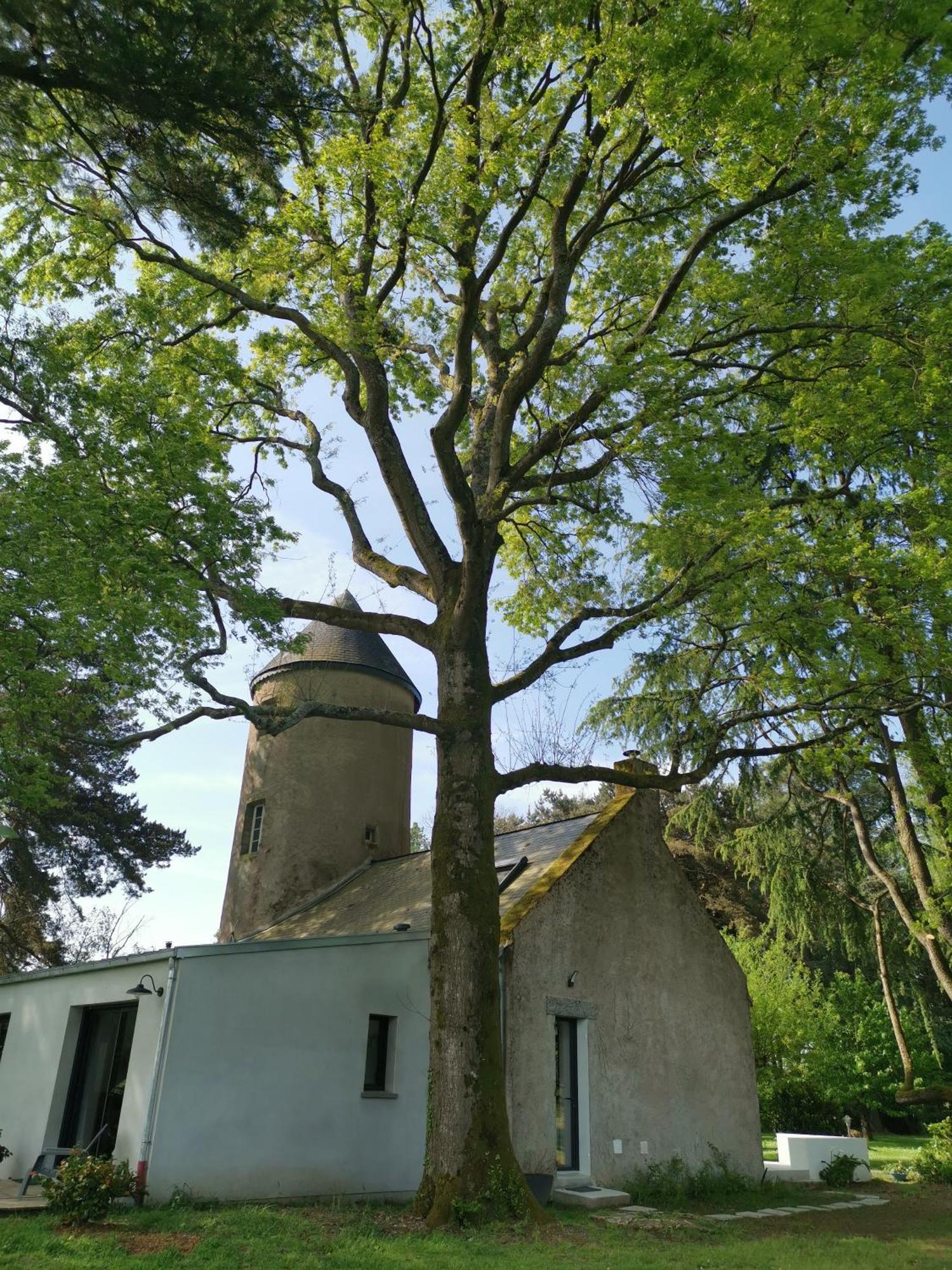 Le Moulin De La Retardiere Orvault Exterior photo
